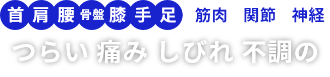 首、肩、腰、膝、手、足、筋肉、骨盤　辛い痛みしびれ不調の